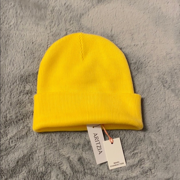 NWT Aritzia Hat